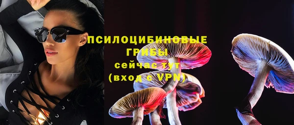 бошки Нея