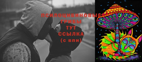 МДПВ Новокубанск