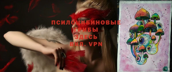 МДПВ Новокубанск